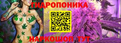 PSILOCYBIN Бугуруслан