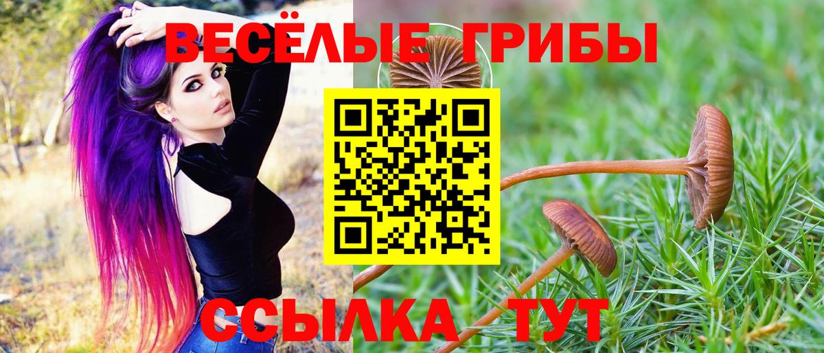 Псилоцибиновые грибы MAGIC MUSHROOMS Верхняя Пышма