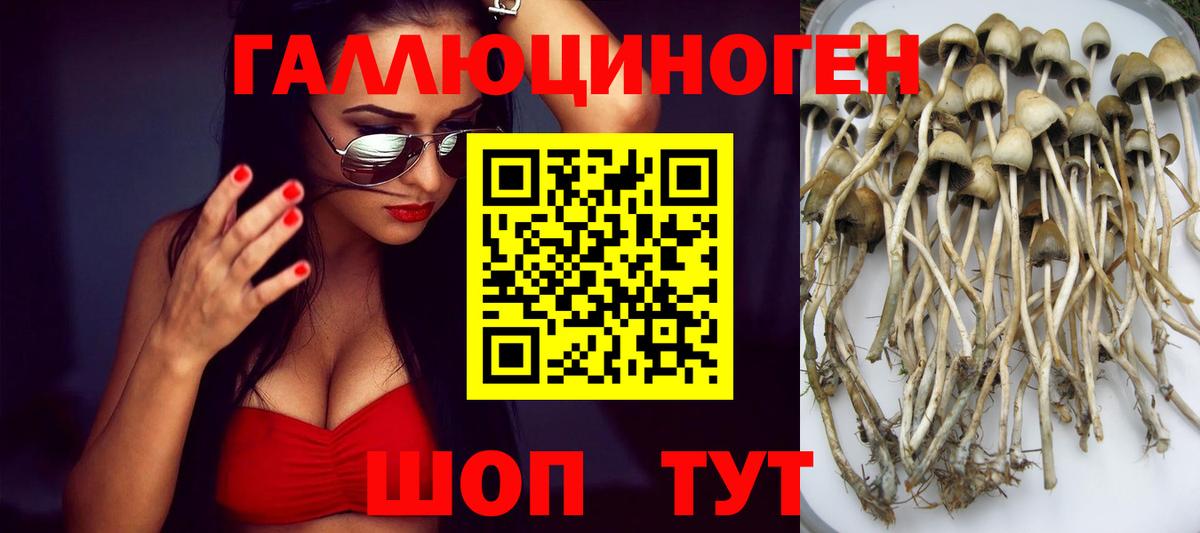 Галлюциногенные грибы прущие грибы  Псилоцибиновые грибы прущие грибы  Вход с VPN  Верхняя Пышма 